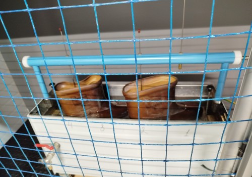 Боты испытание