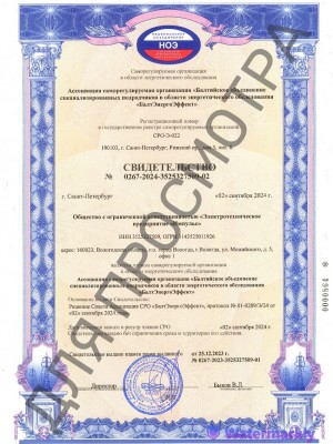 Свидетельство Энергоаудит